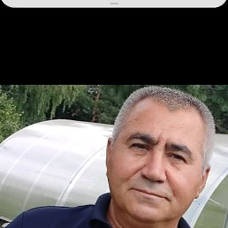 , 55 , -