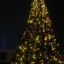 ���� �������, ������, 53 ���� - ��������� 3 ������ 2024 � ������ ���� ����������