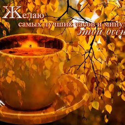 ���� �����, ���������, 41 ��� - ��������� 26 ������� 2023