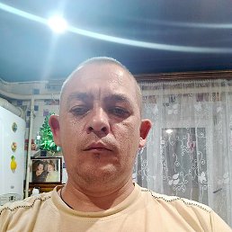 , 37, -