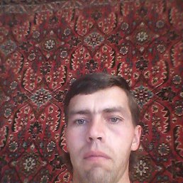 , 42, 