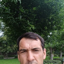 , 39 , 