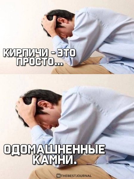 А ведь мы в ответе за тех, кого приручили... Не бросайте кирпичи, друзья