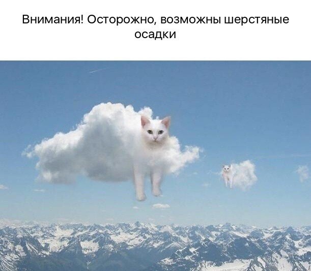    - 26  2024  21:44