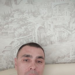 , 40, 
