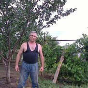 , 63 , 