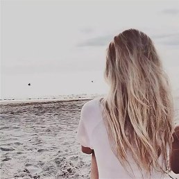 ���� �����, ������� - ��������� 29 ���� 2024