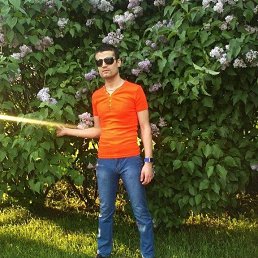 ���� Zoir, �����-���������, 35 ��� - ��������� 23 ������ 2024