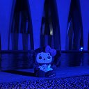 ���� ׸��, ������ - ��������� 4 ������� 2026 � ������ ������ ��������