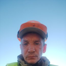 �����, ����, 46 ���