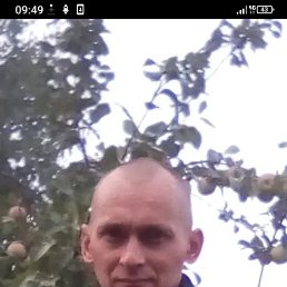 , 39, 