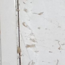 Tdhjkkjk, ������, 41 ���