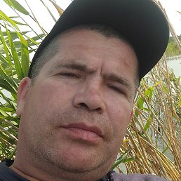 ���������, �����, 46 ���