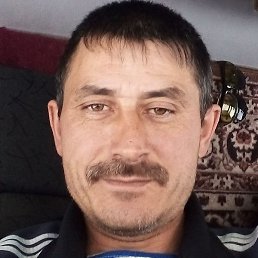 , , 51 