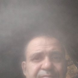 , 54, 
