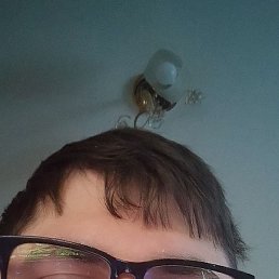 ����, ��������, 29 ���