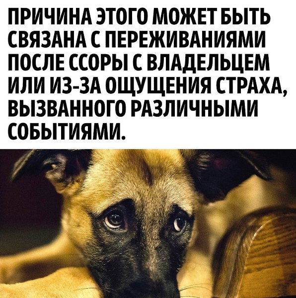       - 2