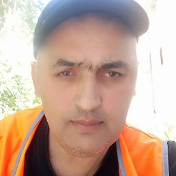 ����� �������, ����, 54 ����