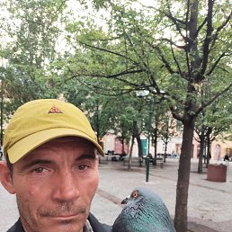 �������, 50 ���, ��������