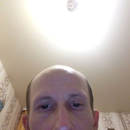, 36, 
