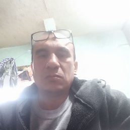 , 50, 