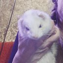 ���� �����, ������, 56 ��� - ��������� 19 ������ 2025 � ������ ���� ����������