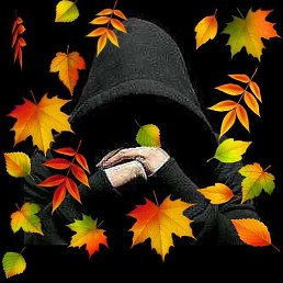 Sarvar, ������, 44 ����