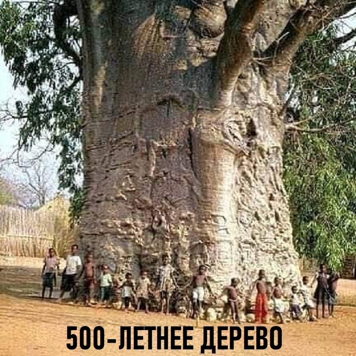 ���������� ����������� ������� ��������� � ����������� ������� ������������ � �������� ��������. ... - 3