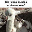 ���� ����, ��������� - ��������� 21 ������� 2026 � ������ ������ ��������