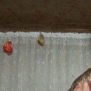 ��������, 30 ���, ��������