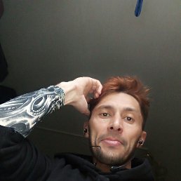 , 37, 
