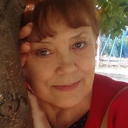 �, ��������, 64 ����