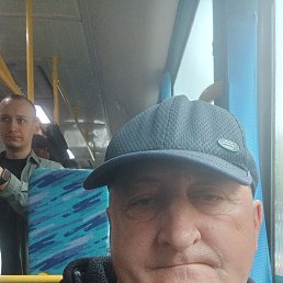 , 51, 