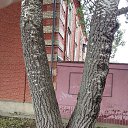 ���� �������, ������, 52 ���� - ��������� 31 ���� 2026 � ������ ���� ����������