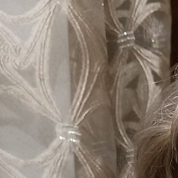 ���������, ����, 49 ���