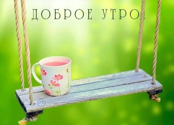   ,    . - 24  2025  06:17