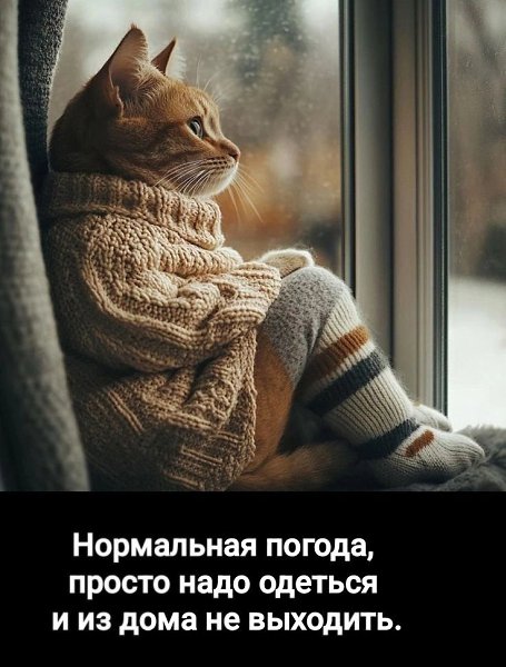  - 2  2025  16:33