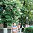 ���� ���������, ����������, 71 ��� - ��������� 20 �������� 2026
