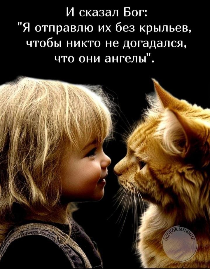   - 7  2025  10:51