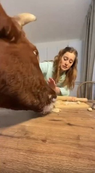 pe�c�a���e, ��o � �ac �o coce�c��� �oce���ac� �opo�a! � �e����e �� o��oc�o��� �a�e �e ����o ���e�o ... - 2