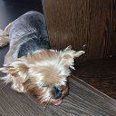 ���� �����, �����, 48 ��� - ��������� 20 ������� 2024 � ������ ���� ����������