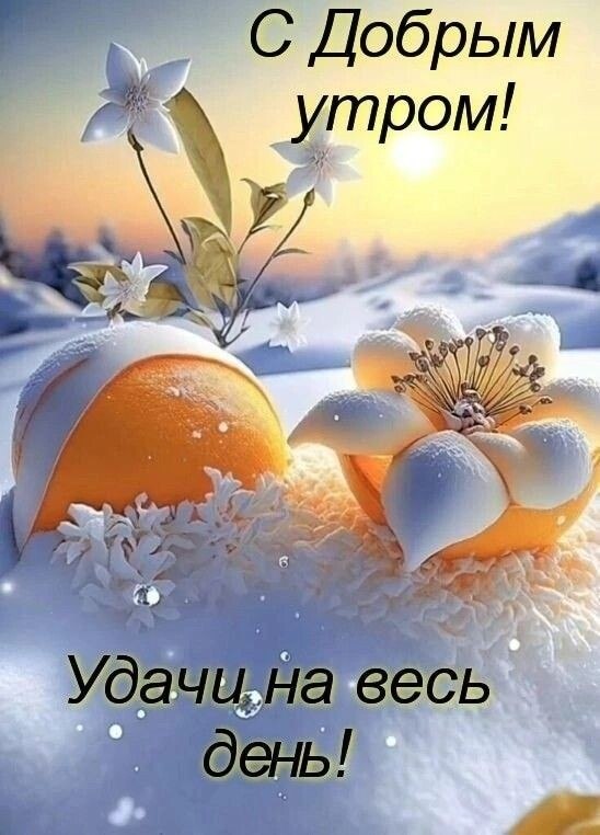 ₪╬═►  ||  ||  ◄═╬₪ - 28  2023  05:38