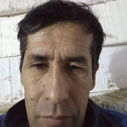 �����, ������, 51 ���