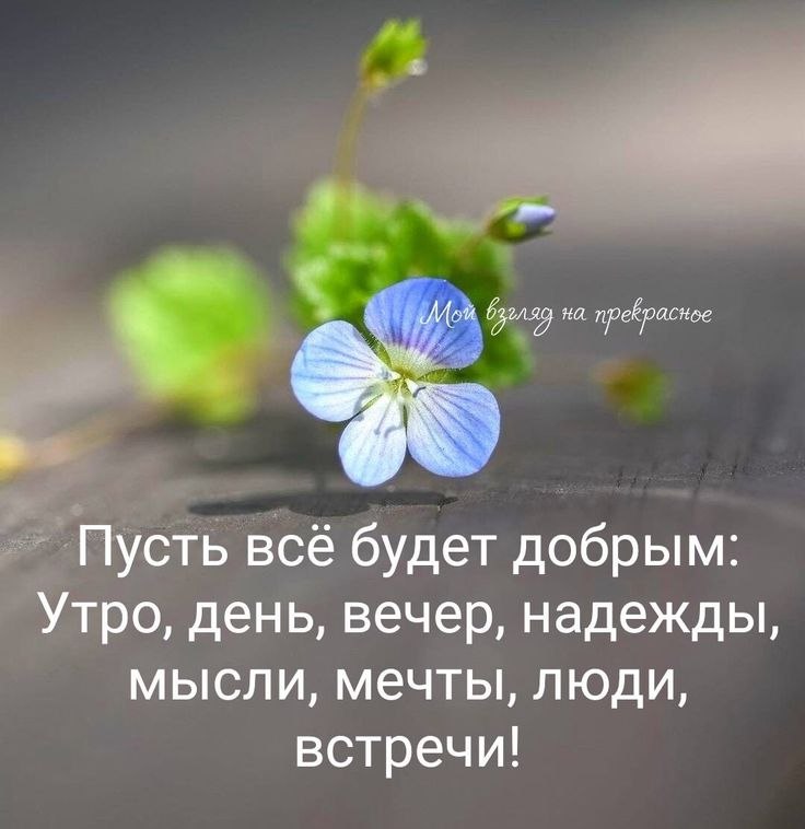 �������� ������ - 13 ���� 2026 � 08:29