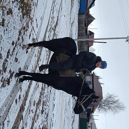 A'da'r, ������, 46 ���