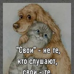 ���� ������, ��������, 51 ��� - ��������� 5 ������� 2024