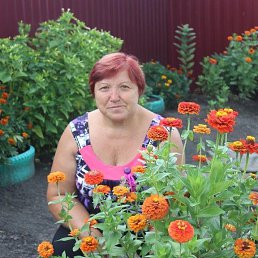 ���� ����, ��������, 70 ��� - ��������� 2 ������� 2023