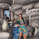 ���� ��������, ����������, 47 ��� - ��������� 21 ������� 2024 � ������ ���� ����������