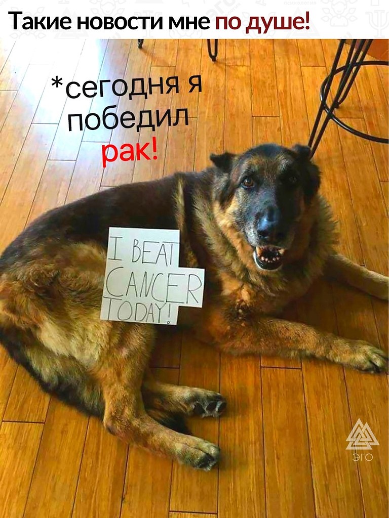      . ,   ,    ,    .