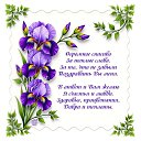 ���� �, ������, 62 ���� - ��������� 15 ������� 2026 � ������ ������ ��������